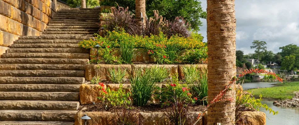 Colorful plants on the side of outdoor steps on a property in New Braunfels, TX.