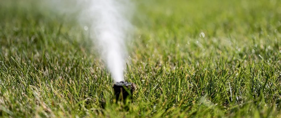 Draining water out of sprinkler heads in New Braunfels, TX.