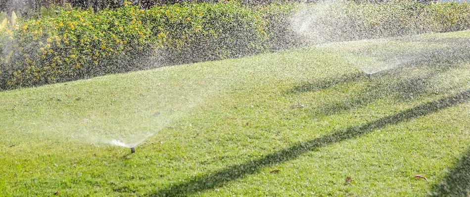Lawn in Bulverde, TX, with sprinkler irrigation system.