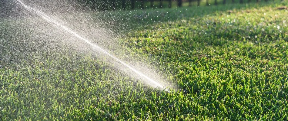 Sprinkler head on a lawn in Garden Ridge, TX, spraying water.