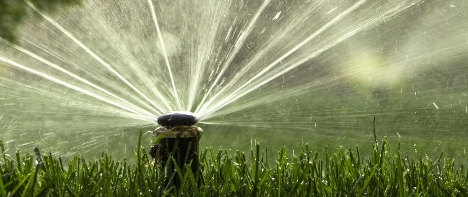 Water coming out of an irrigation sprinkler head in Spring Branch, TX.