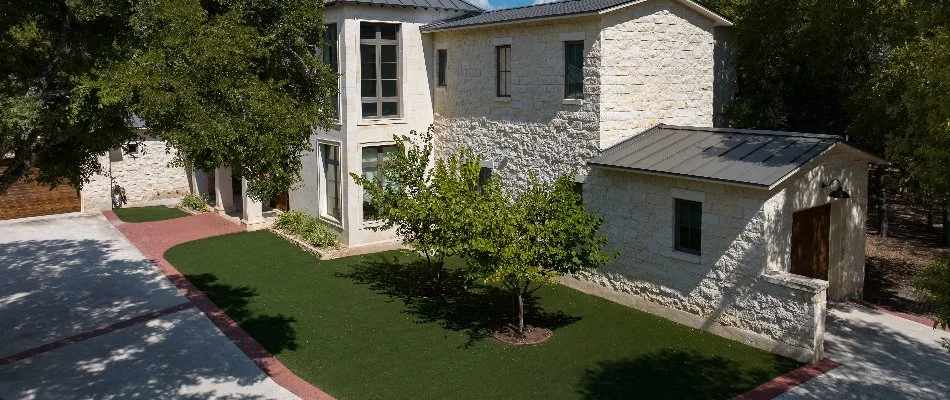 Artificial turf with a shrub in New Braunfels, TX.