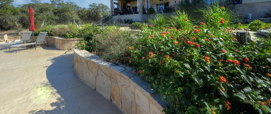 Plants on top of a retaining wall in New Braunfels, TX.