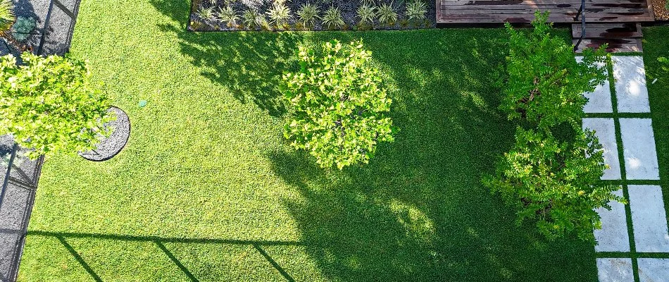 Green grass in New Braunfels, TX, with trees.