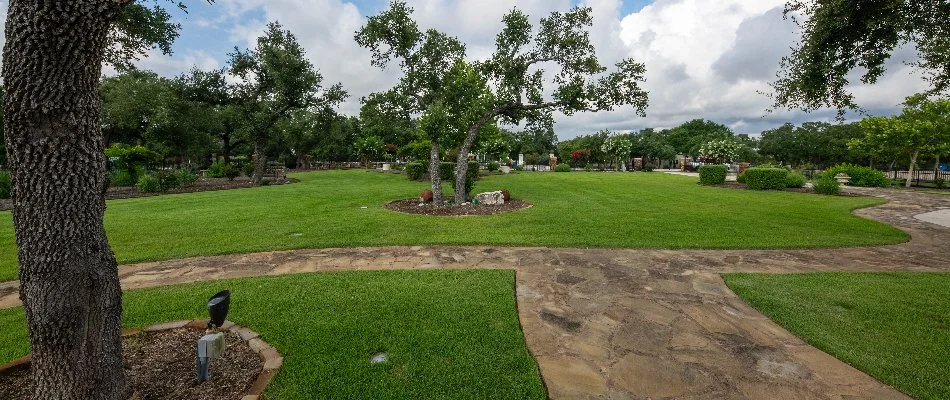 Green lawn and manicured plants on a property in New Braunfels, TX.