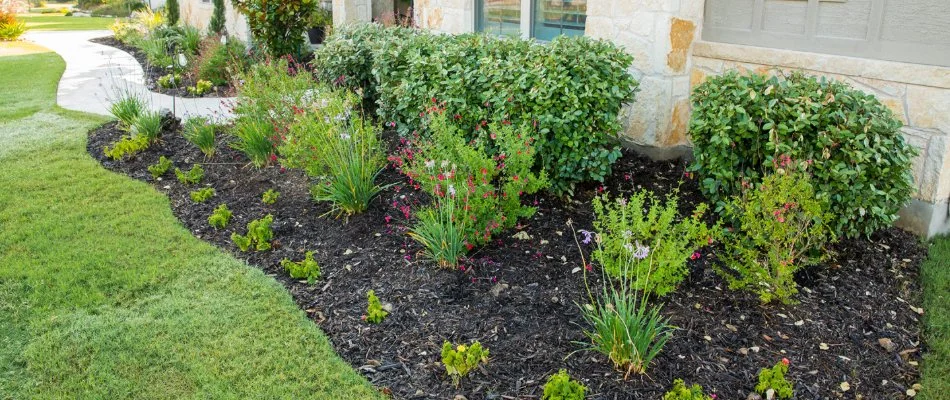 Landscape in Oak Run, TX, with mulch, plants, and flowers.