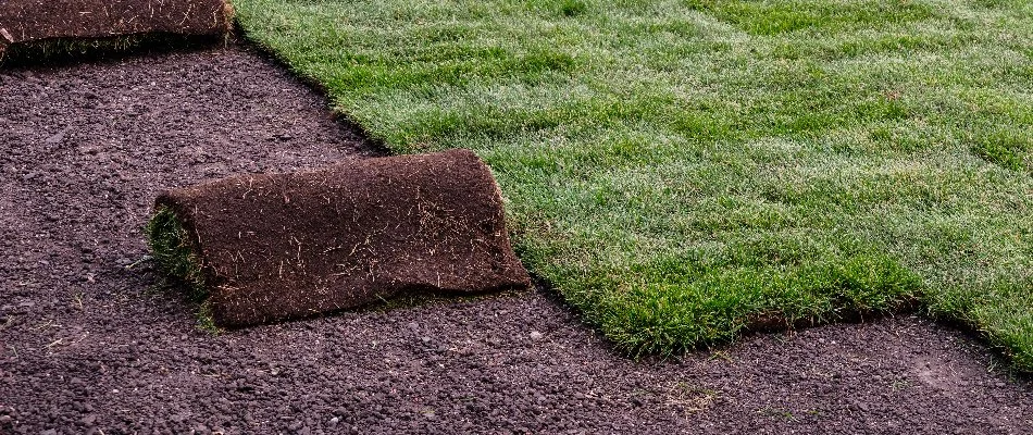 Sod being installed in New Braunfels, TX.