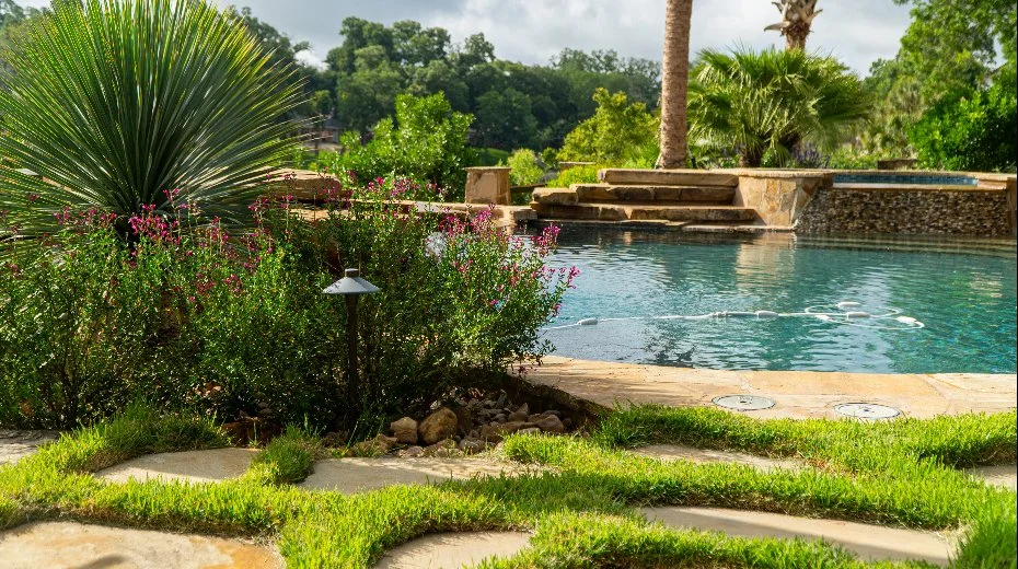 Black mulch and green shrubs in landscape bed in Spring Branch, TX.